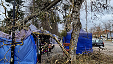 Skutki wichury w regionie: awarie prądu, powalone drzewa i uszkodzone dachy Skutki wichury w regionie: awarie prądu, powalone drzewa i uszkodzone dachy